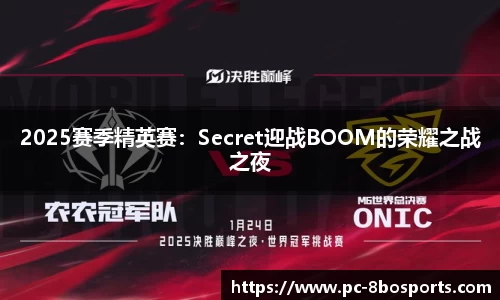 2025赛季精英赛：Secret迎战BOOM的荣耀之战之夜
